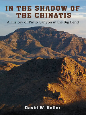 cover image of In the Shadow of the Chinatis